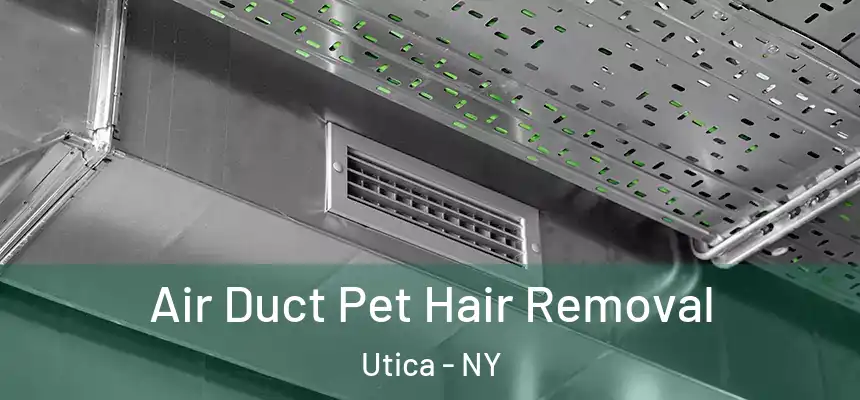 Air Duct Pet Hair Removal Utica - NY