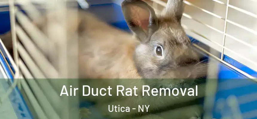  Air Duct Rat Removal Utica - NY