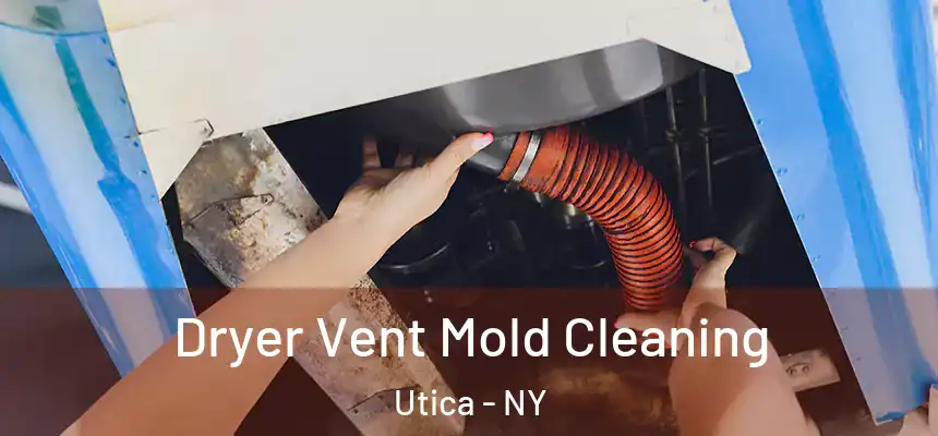 Dryer Vent Mold Cleaning Utica - NY