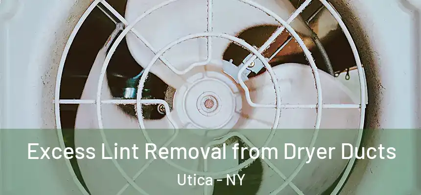  Excess Lint Removal from Dryer Ducts Utica - NY