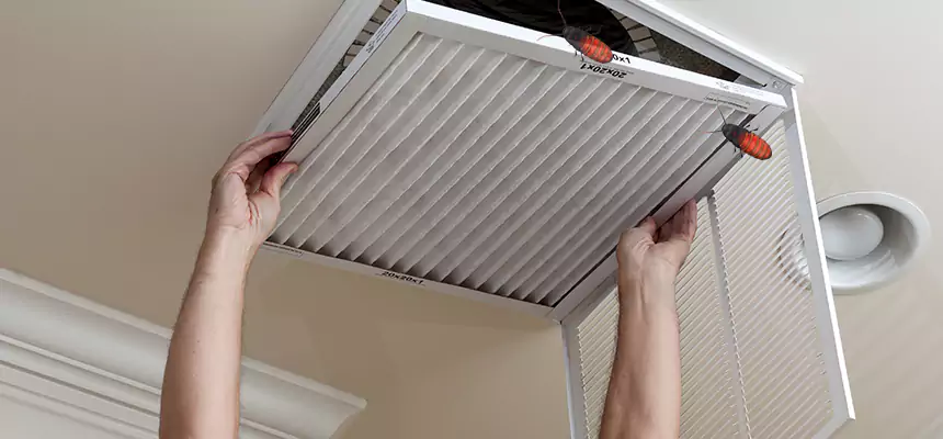 Preventive Cockroach-Proofing for Ducts in Utica