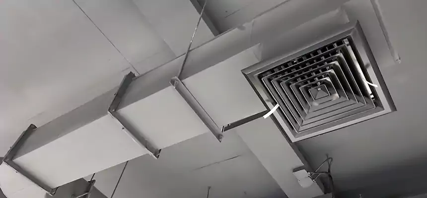 Our Pest Removal From Ducts Services in Utica, NY