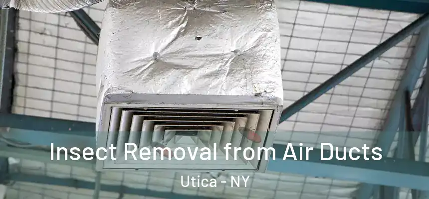  Insect Removal from Air Ducts Utica - NY