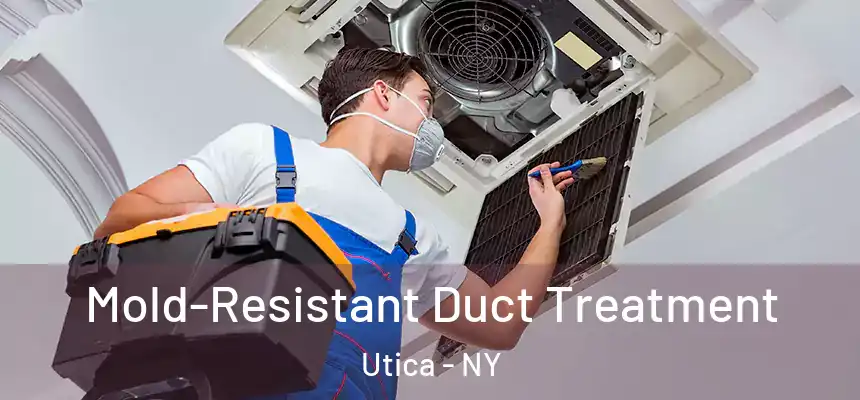  Mold-Resistant Duct Treatment Utica - NY