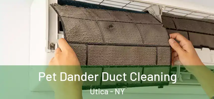 Pet Dander Duct Cleaning Utica - NY